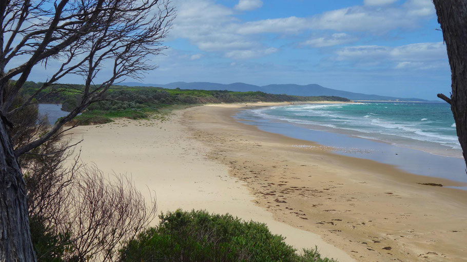 Australie, Croajingolong National Park Mallacoota : plage de Betka entre océan et rivière