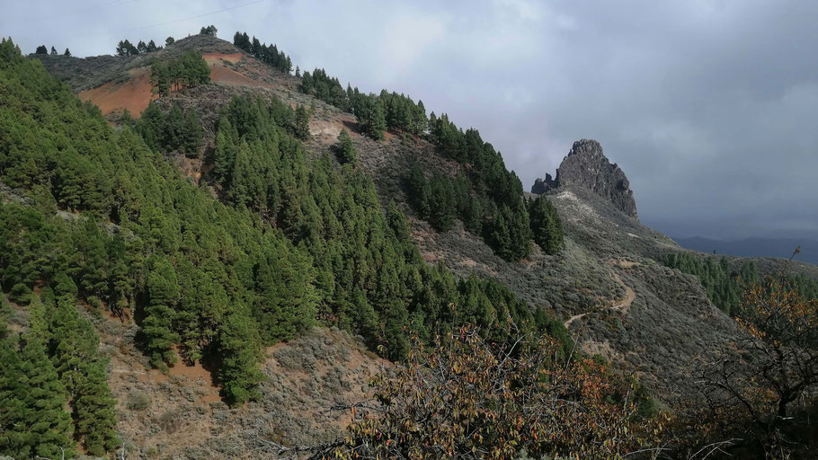 Grande Canarie : pause au belvédère de la Caldera los Marteles pour apercevoir le Roque Grande