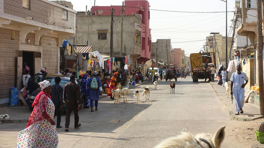 Sénégal, Saint-Louis : avenue Dodds dans le quartier des pêcheurs de Guet N'Dar
