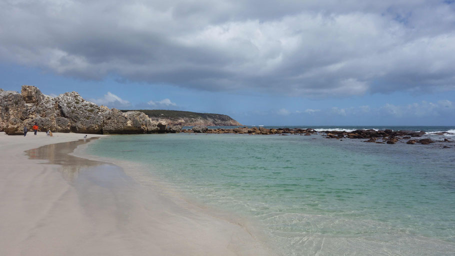 Australie, Kangaroo Island : plage de Stokes Bay