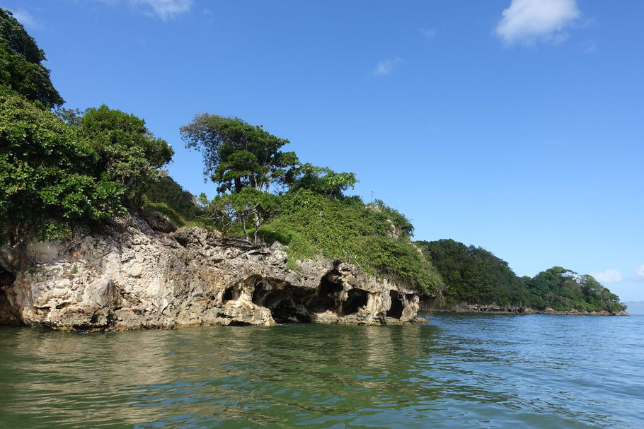 République Dominicaine, péninsule de Samaná : balade en bateau dans le parc de Los Haïtises
