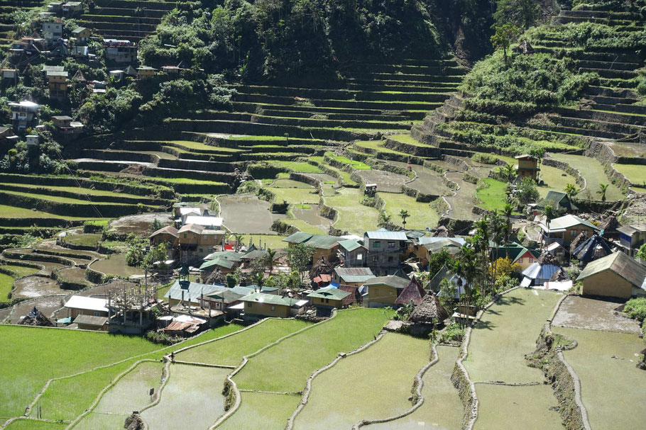 Le petit village de Batad (Banaue, Luzon)