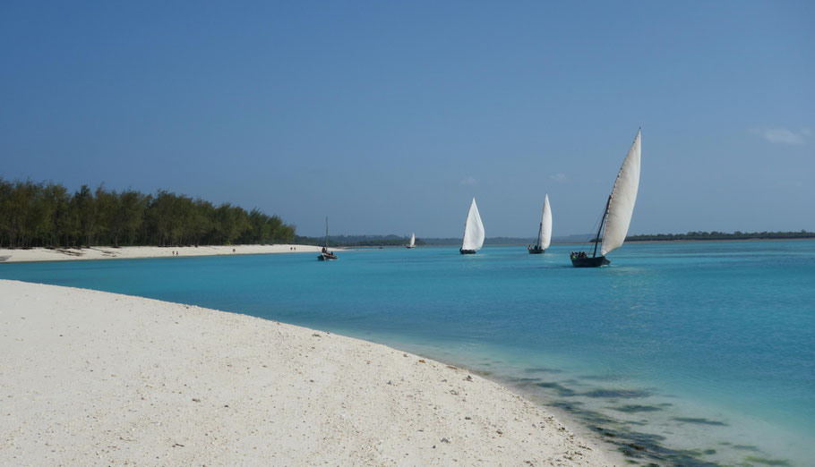 Zanzibar, dhows à Kendwa