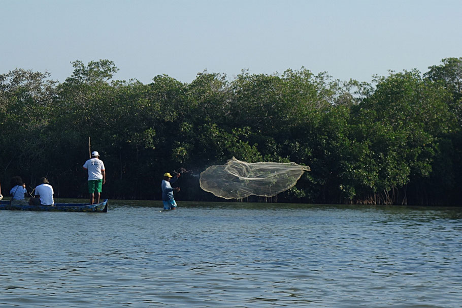 Colombie : pêcheur de la Boquilla