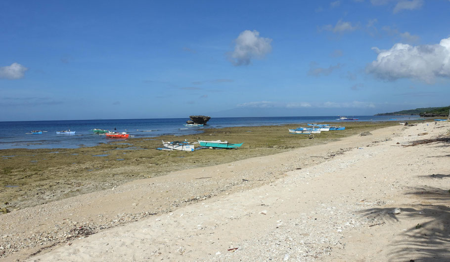 Siquijor, plage face au Salamangka Resort