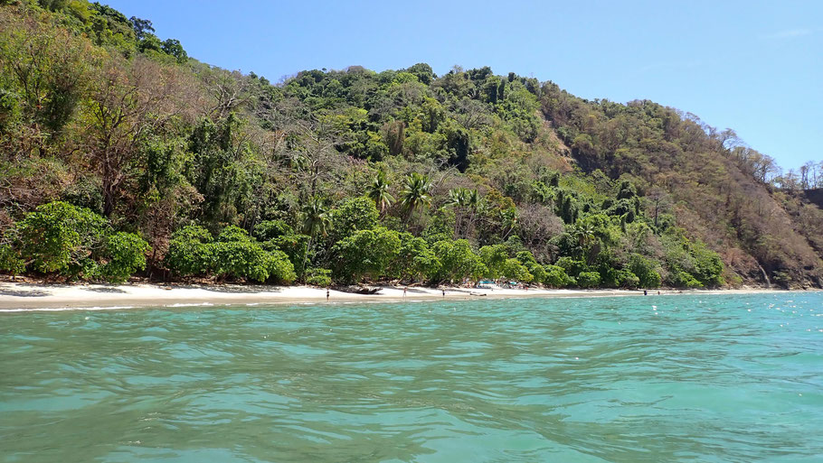 Costa Rica, Herradura : Playa Fantasia, accessible uniquement en bateau, sur laquelle nous avons pu voir de nombreux aras