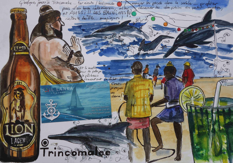 Sri Lanka, Trincomalee, dessin Alex leroux