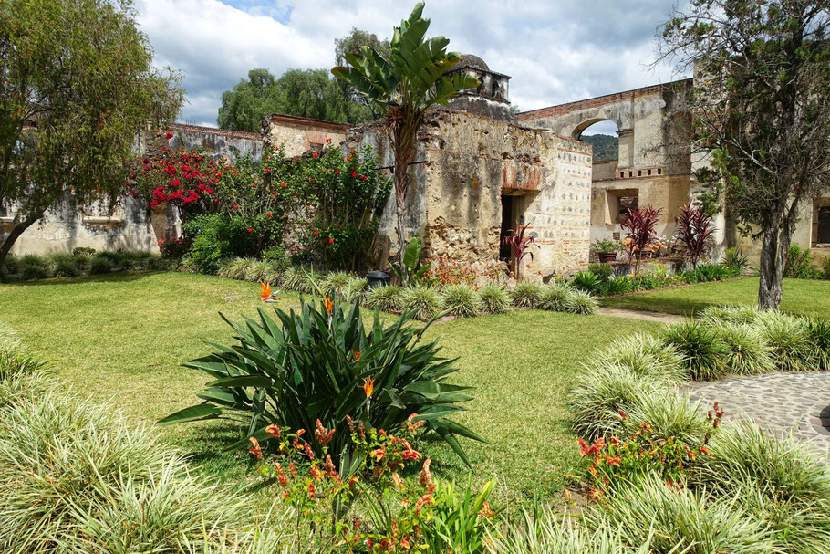 Guatemala, Antigua : jardin du couvent de Santa Clara