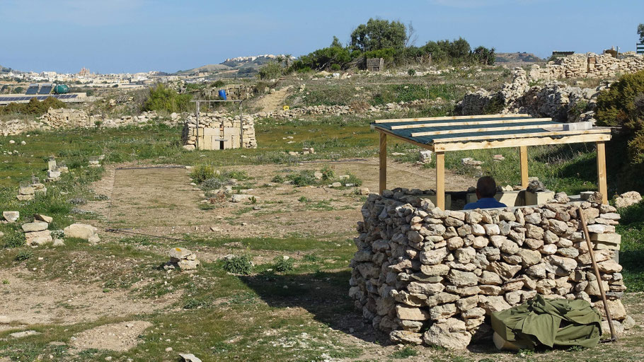 Malte : piégeage illégal d'oiseaux sauvages ou migrateurs à Gozo