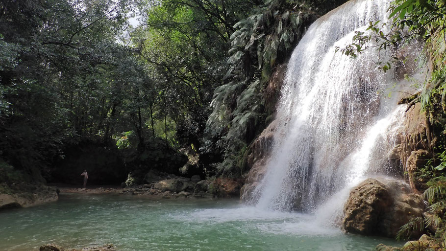 République Dominicaine, Péninsule de Samana : petite cascade d'El Limón