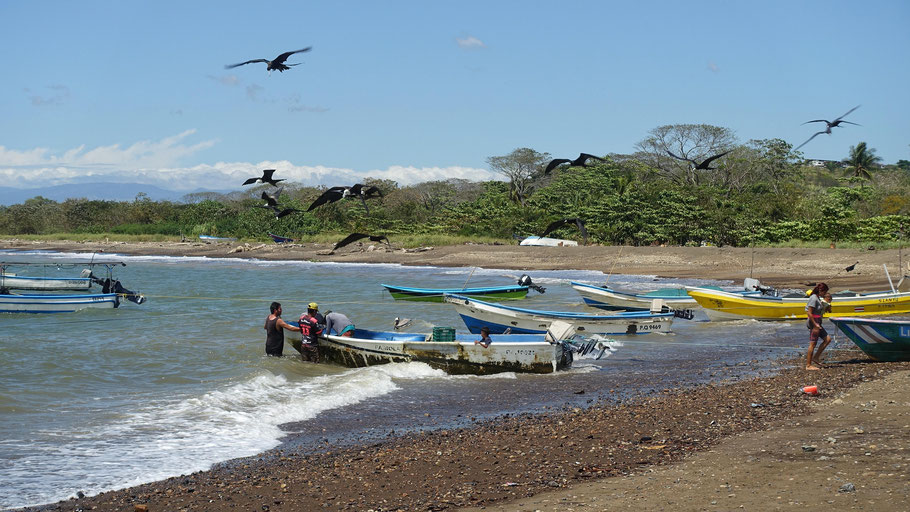 Costa Rica : retour des pêcheurs sur la plage de Tarcoles