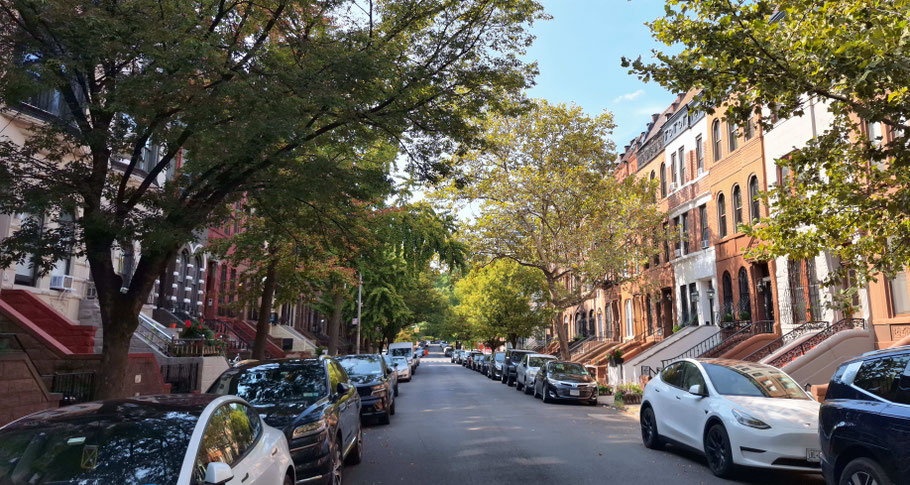 New York : rue typique d'Harlem 