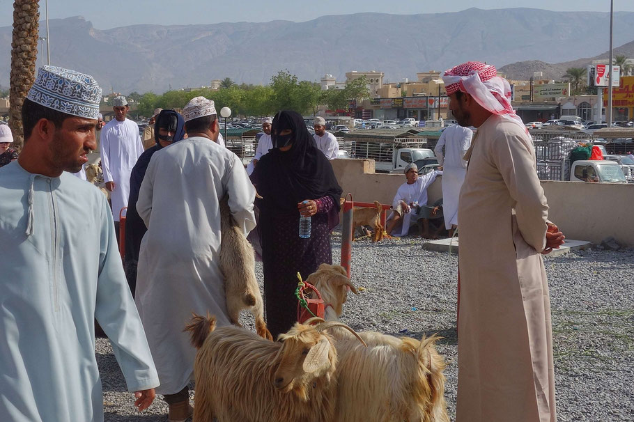 Oman, échanges sur le marché aux bestiaux de Nizwa