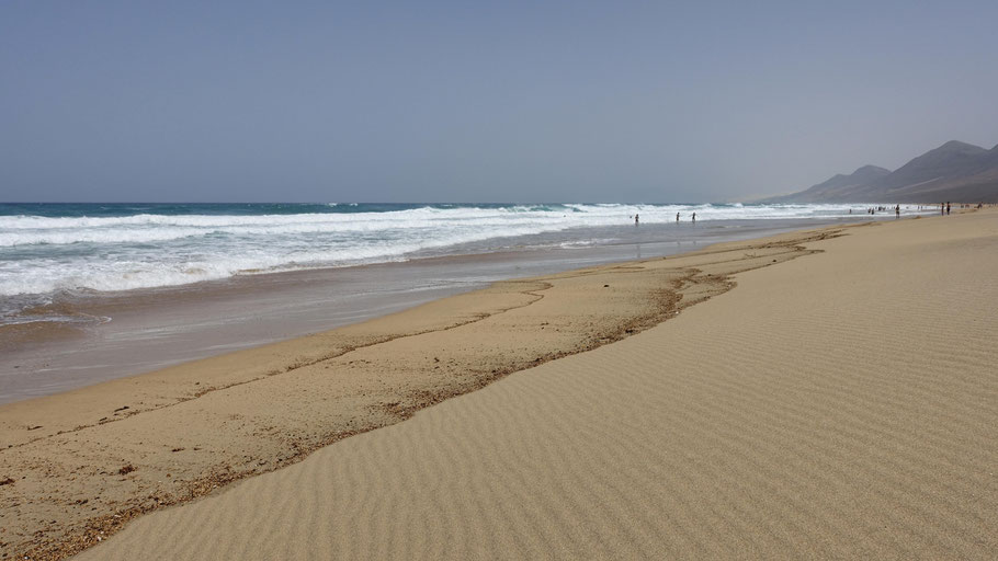 Fuerteventura : plage de Cofete