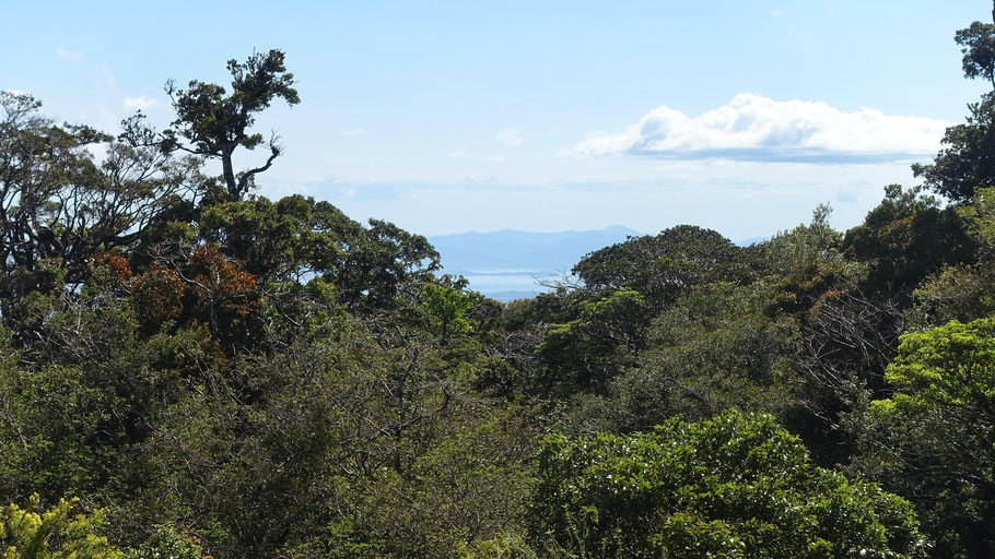 Costa Rica, Monteverde : vue de la terrasse de la Casa de la Montaña