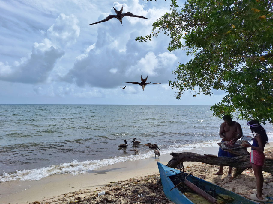 Belize : pêcheur sur la plage d'Hopkins