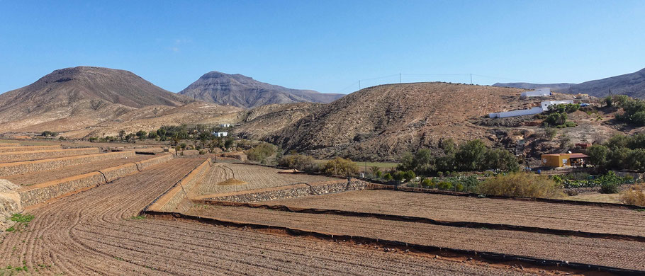 Fuerteventura : paysage près de la Montaña del Cardón (route FV-618)