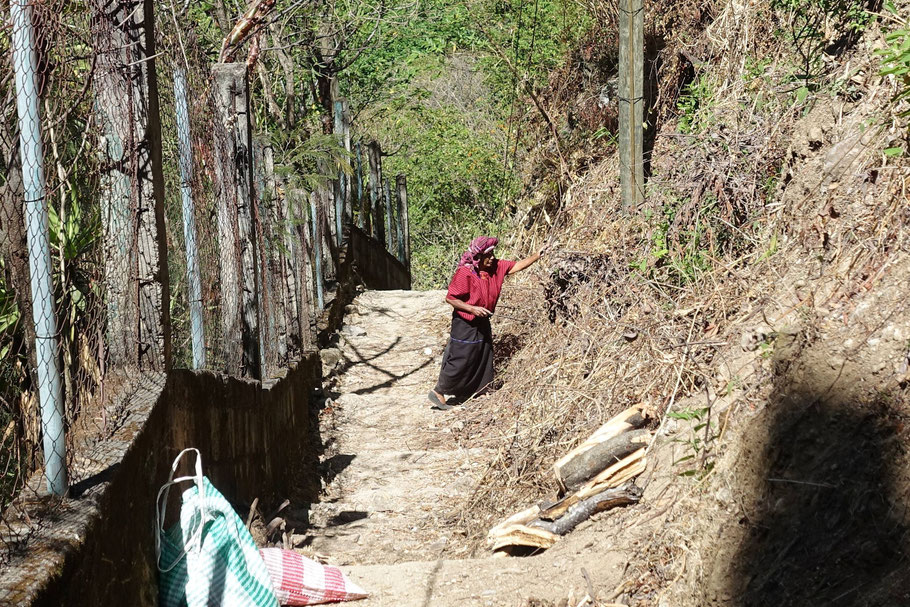 Guatemala, lac Atitlán : femme maya coupant du bois près de Jaibalito