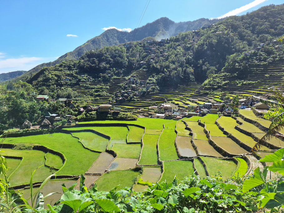 Philippines : rizières et village de Batad