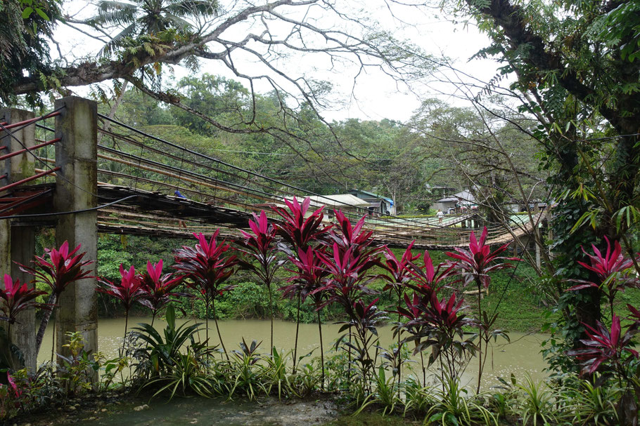 Bohol : ponts suspendus sur Loboc River à Sevilla