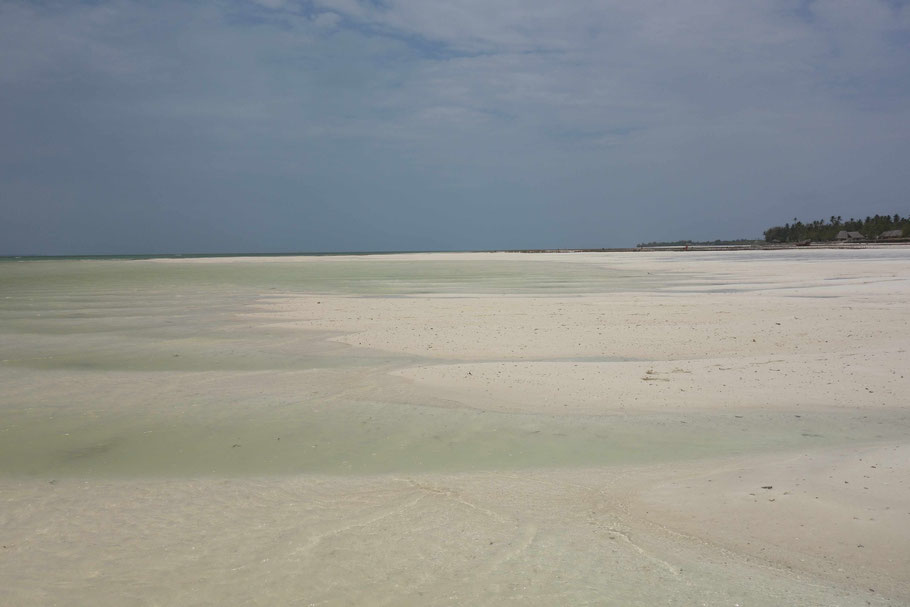 Tanzanie, Zanzibar : baie de Chwaka
