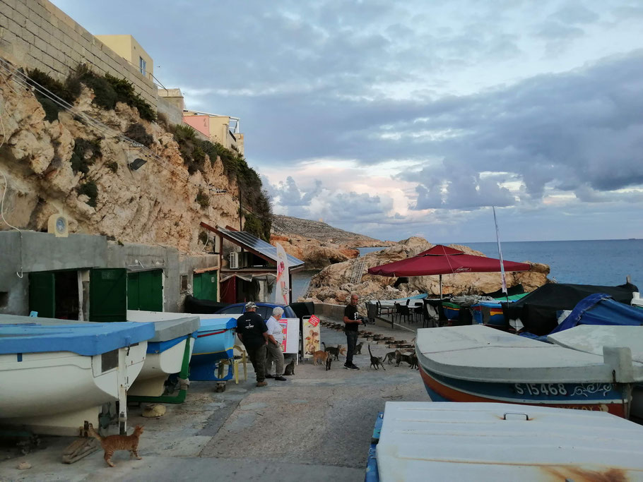 Malte : le minuscule port de Ghar Lapsi