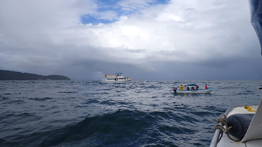 République Dominicaine : bateaux à la recherche de baleines dans baie de Samaná 
