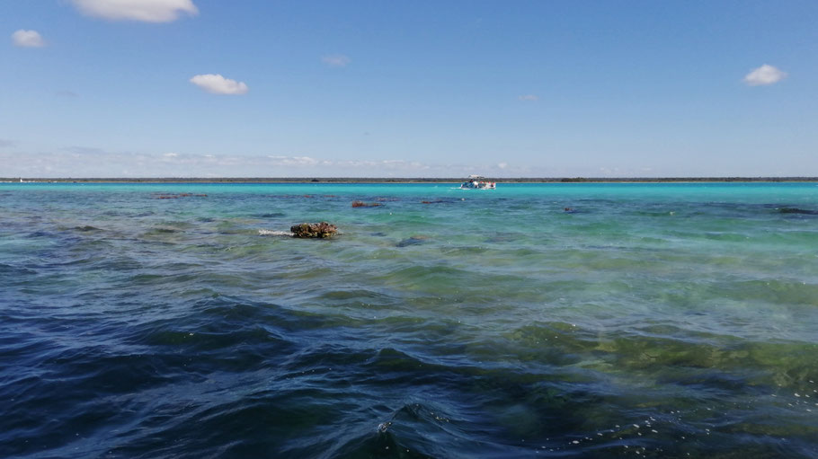 Lagune de Bacalar vue du cénote Negro (où l'eau est plus sombre)