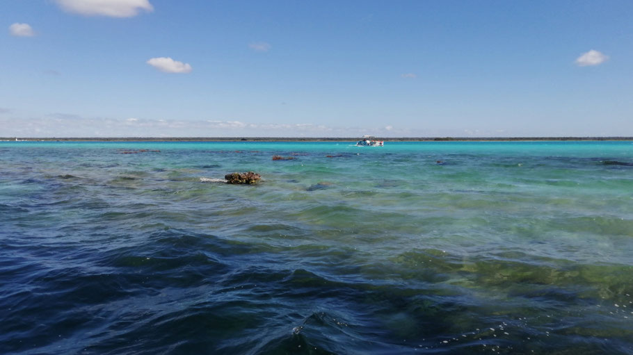 Lagune de Bacalar vue du cénote Negro (où l'eau est plus sombre)
