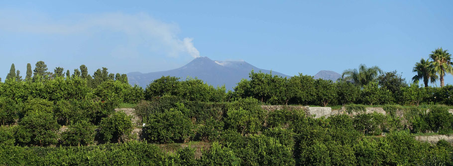 Sicile, Giarre : vue sur l'Etna le matin de notre location