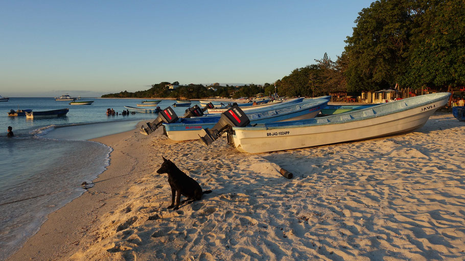 République Dominicaine, plage de Punta Rucia au coucher du soleil
