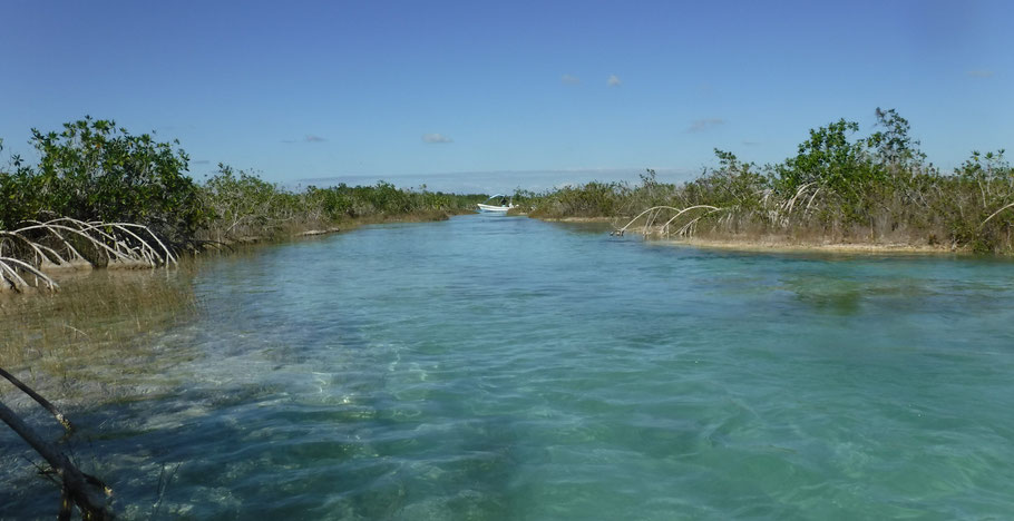 Mexique, Yucatan : lagune de Bacalar près Los Rápidos