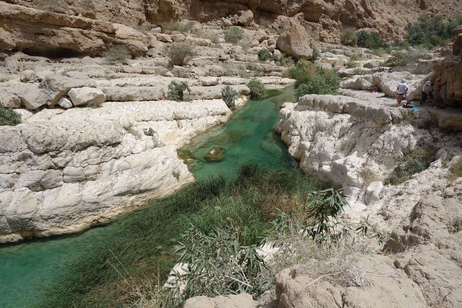 Oman, piscines naturelles du Wadi Shab