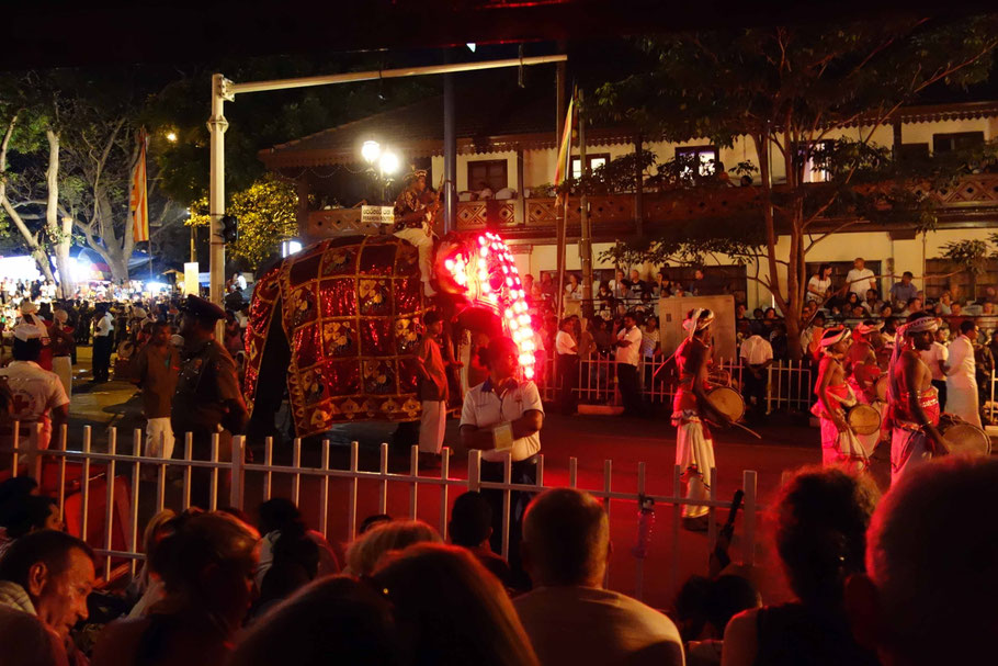 Sri Lanka, Kandy : dernière cérémonie de l'Esala Perahera