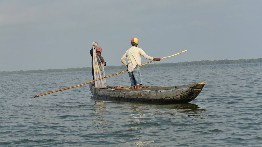 Colombie : pêcheurs sur la Ciénaga Grande de Magdalena