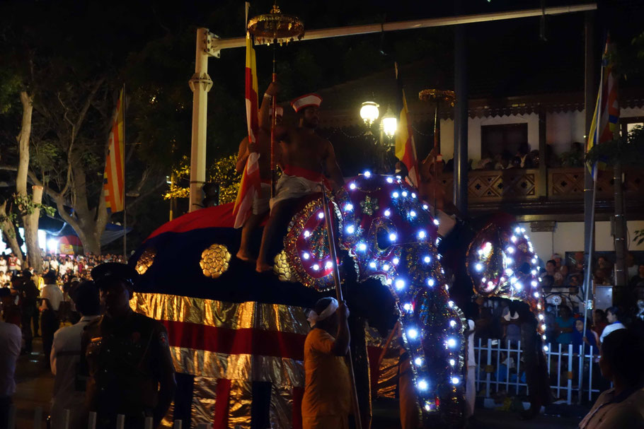 Sri Lanka, Kandy : dernière cérémonie de l'Esala Perahera