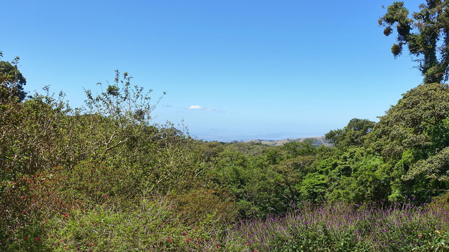 Costa Rica : panorama dans la réserve de Curi Cancha