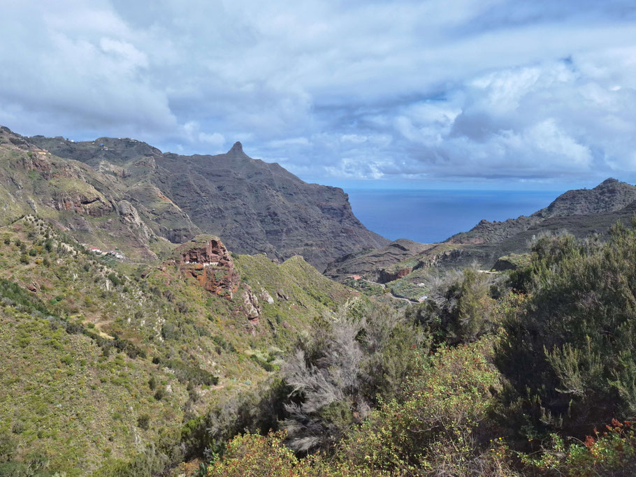 Canaries, Tenerife : en descendant vers Afur (TF-136)