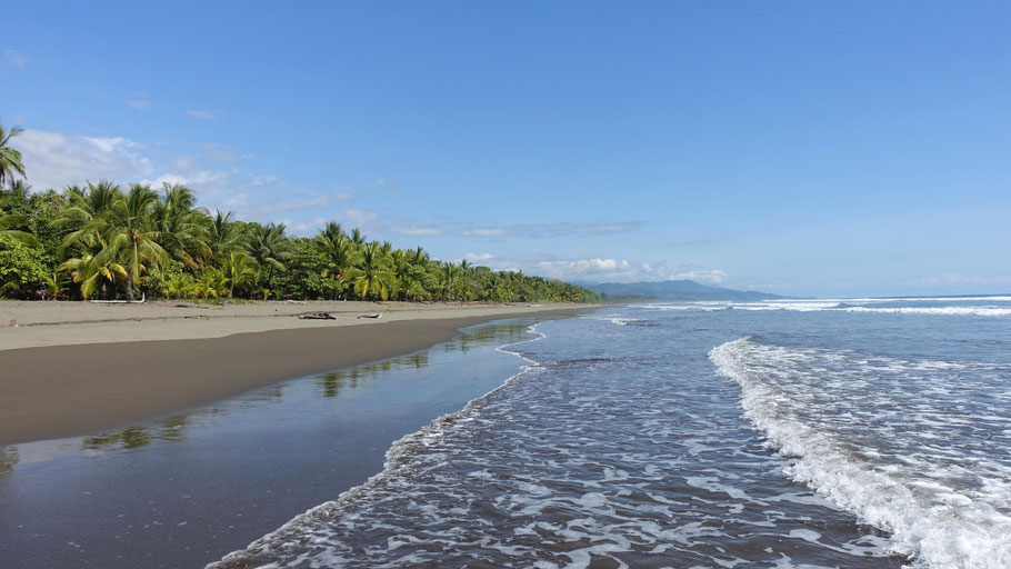 Costa Rica : la plage de Matapalo permet de longues balades les pieds dans l'eau