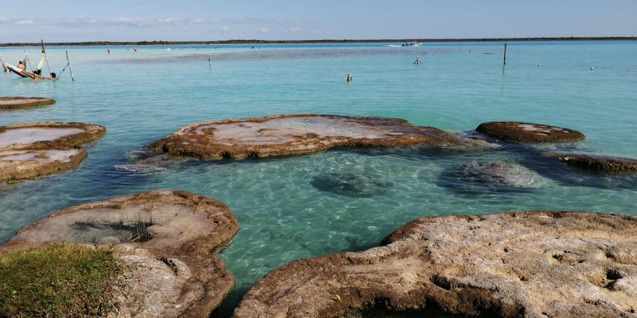 Mexique, Yucatan : plage du cénote Cocalitos à Bacalar