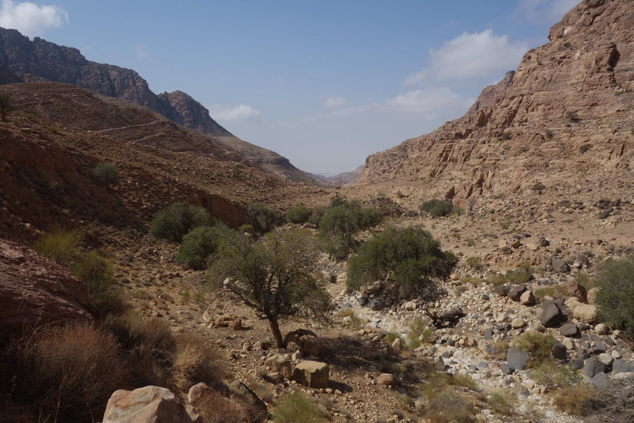 Jordanie, réserve de Dana : randonnée sur le Wadi Dana Trail