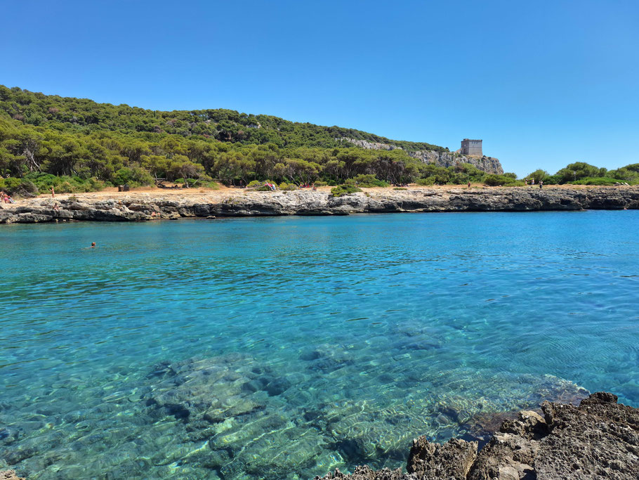 Torre dell'Alto (plage de Porto Selvaggio)