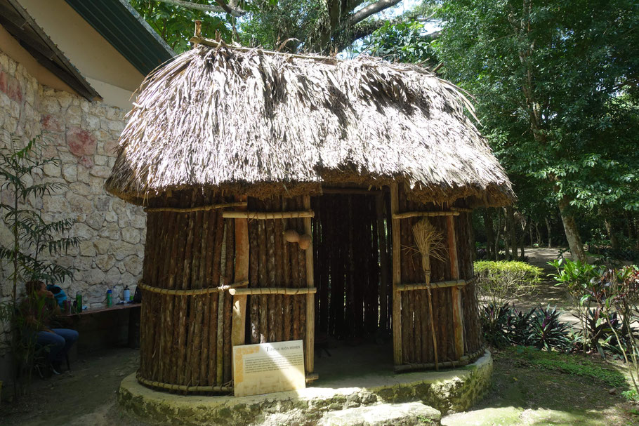 Belize : reconstitution d'une hutte maya à Lamanai