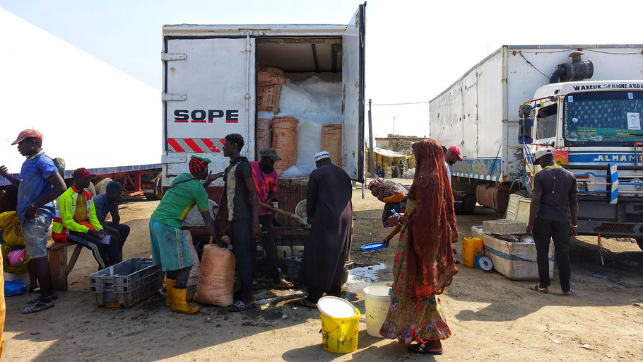 Sénégal, Saint-Louis : marché aux poissons de Guet N'Dar au bout de l'avenue Dodds