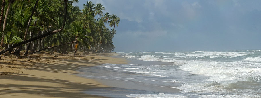 République Dominicaine, Las Terrenas : Playa Cosón