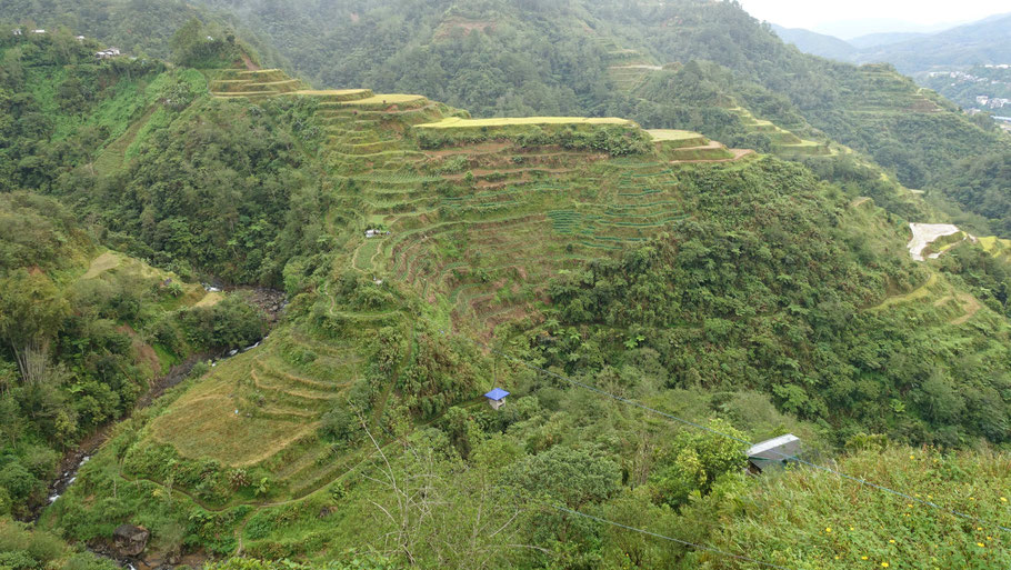 Banaue Rice Terraces (Philippines)