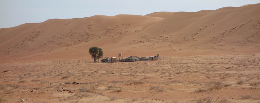 Oman, désert de Wahiba Sands
