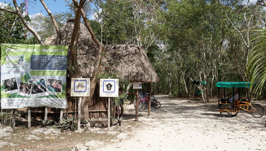 Mexique, Yucatan : entrée du cénote X'Canché avec location de vélos