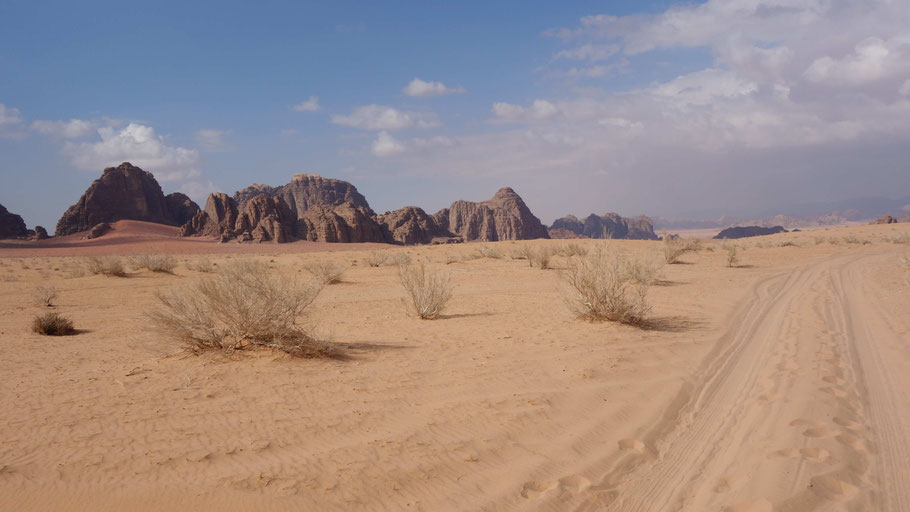 Jordanie, plaine sablonneuse du Wadi Rum