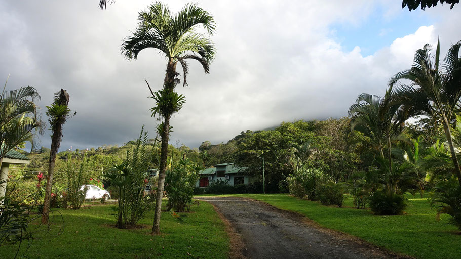 Costa Rica, La Fortuna : le verdoyant jardin de Confort Arenal